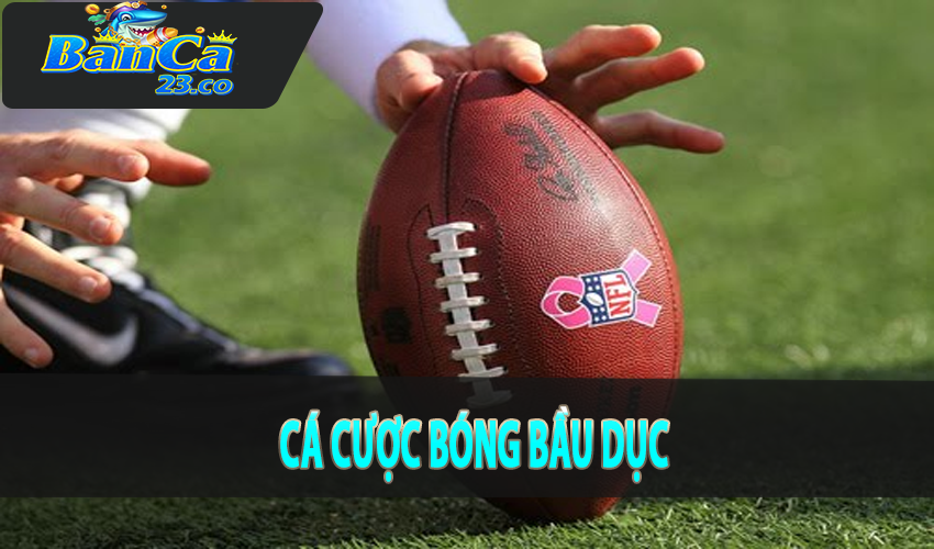 Cá cược bóng bầu dục